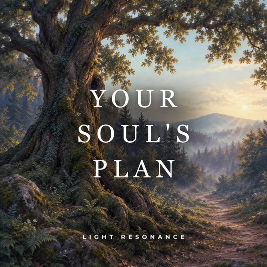 Your Soul's Plan